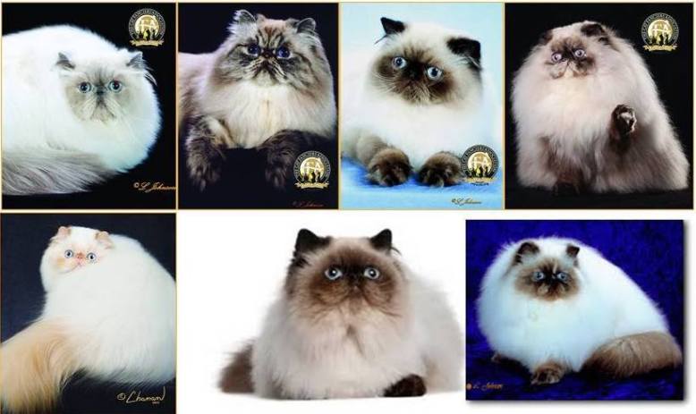 14595702_1765001530419240_8211765032632182755_n