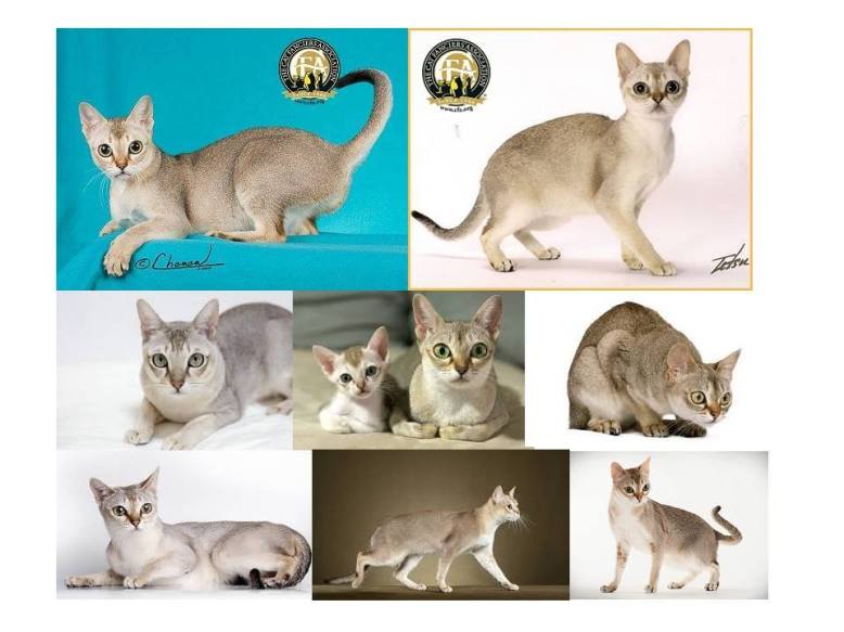 14650099_1765006430418750_8585831660901470800_n