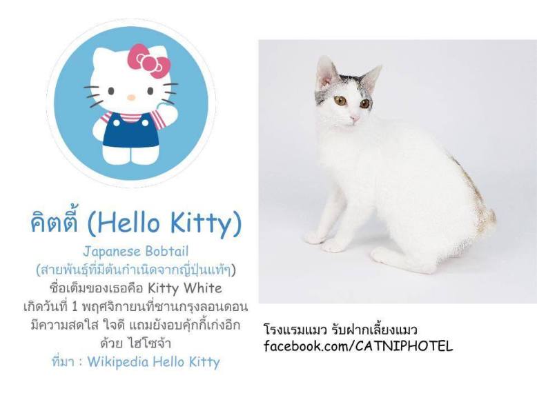 14720509_1762305297355530_6530719658927031488_n