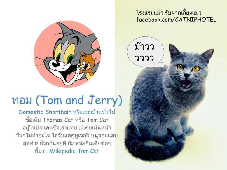 14724629_1762305337355526_6614428177998669627_n