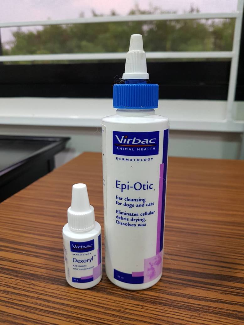 21762401_1920034961582562_5101557255283893205_o (1)