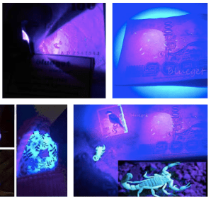 Screen Shot 2561-05-24 at 14.38.58.png